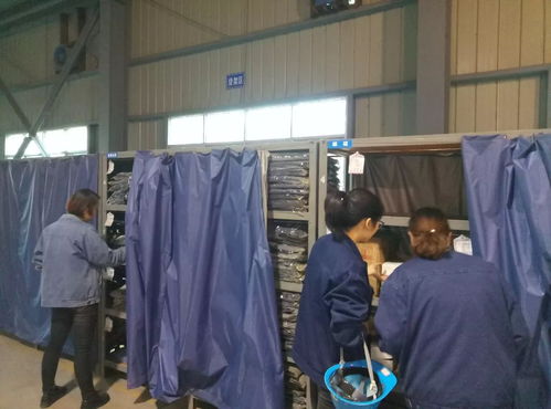 強化民主監(jiān)督 筑牢安全防線 公司工會多措并舉維護職工權益與健康福祉
