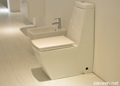 直沖與虹吸馬桶全方位對比與選購指南