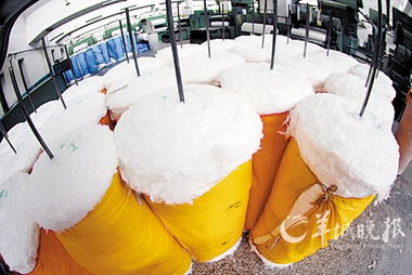 棉價日日高歌猛進(jìn) 紡織品交易遇寒冬