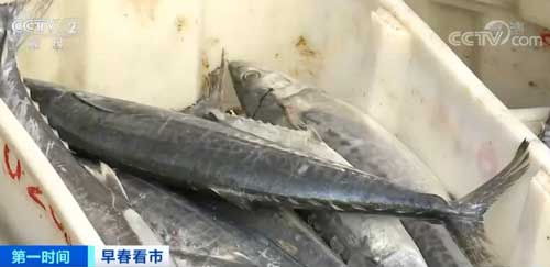 浙江舟山 年后首批新鮮漁獲運抵碼頭 水產交易繁忙