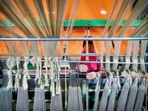 美國出口管制清單新增14類技術(shù)，特種紡織品貿(mào)易面臨新挑戰(zhàn)